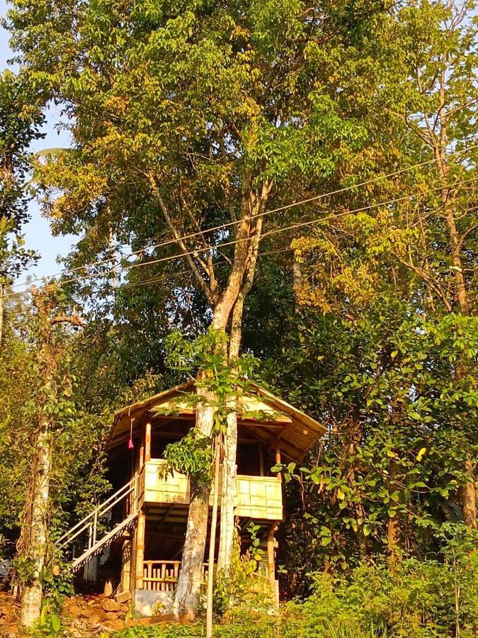 Fab - Bamboo Hut With Open Shower Munnar Buitenkant foto